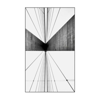 Black and white decorative painting