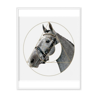Animal decorative painting