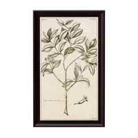 Plant decorative painting