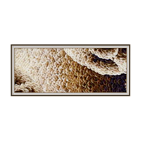 Modern decorative painting