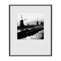 Black and white decorative painting