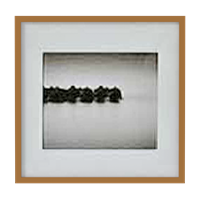 Black and white decorative painting