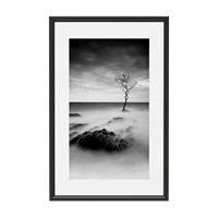 Black and white decorative painting