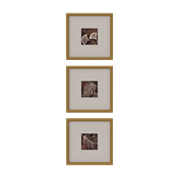 European combination painting