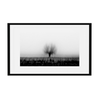 Black and white decorative painting