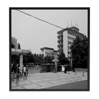 Black and white decorative painting