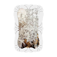 Plant decorative painting